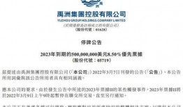 禹州集团最新爆料,揭秘企业转型背后的秘密与挑战